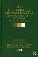 bokomslag The Delivery of Human Rights