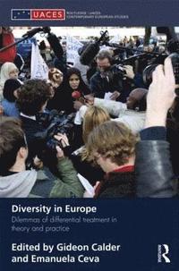 bokomslag Diversity in Europe