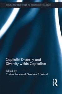 bokomslag Capitalist Diversity and Diversity within Capitalism