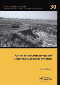 bokomslag African Palaeoenvironments and Geomorphic Landscape Evolution
