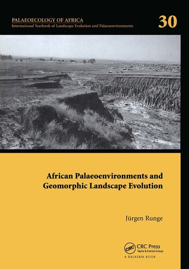 Jörgen Runge - African Palaeoenvironments and Geomorphic Landscape Evolution, Inbunden