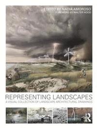 bokomslag Representing Landscapes