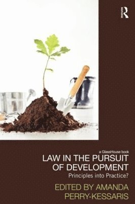 Law in the Pursuit of Development 1