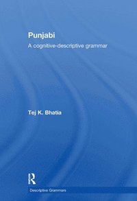 bokomslag Punjabi
