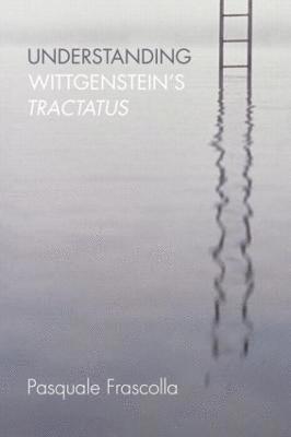 Understanding Wittgenstein's Tractatus 1