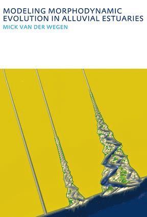 bokomslag Modeling morphodynamic evolution in alluvial estuaries