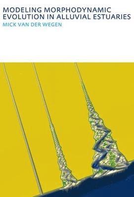 Modeling morphodynamic evolution in alluvial estuaries 1