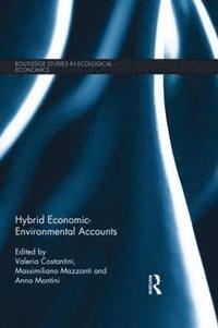 bokomslag Hybrid Economic-Environmental Accounts