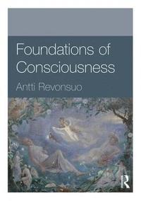 bokomslag Foundations of Consciousness