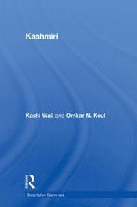 bokomslag Kashmiri