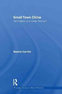 bokomslag Small Town China