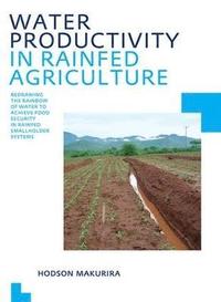 bokomslag Water Productivity in Rainfed Agriculture