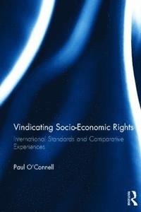 bokomslag Vindicating Socio-Economic Rights