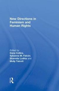 bokomslag New Directions in Feminism and Human Rights