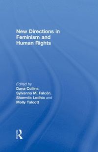 bokomslag New Directions in Feminism and Human Rights