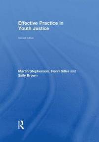 bokomslag Effective Practice in Youth Justice