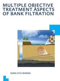 bokomslag Multiple Objective Treatment Aspects of Bank Filtration