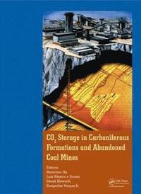 bokomslag CO2 Storage in Carboniferous Formations and Abandoned Coal Mines