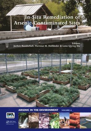 bokomslag In-Situ Remediation of Arsenic-Contaminated Sites