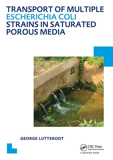 bokomslag Transport of multiple Escherichia coli strains in saturated porous media