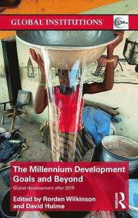bokomslag The Millennium Development Goals and Beyond