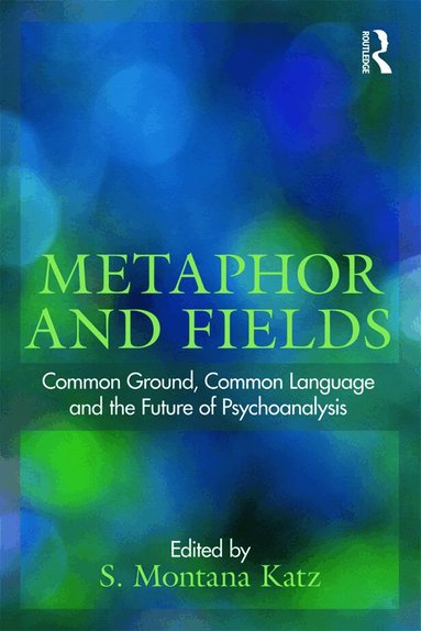 S. Montana Katz - Metaphor and Fields, Häftad
