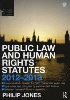 bokomslag Public Law and Human Rights Statutes