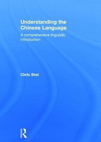 bokomslag Understanding the Chinese Language