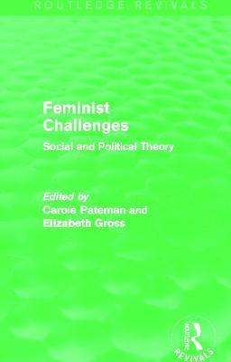 bokomslag Feminist Challenges