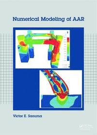 bokomslag Numerical Modeling of AAR