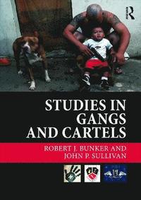 bokomslag Studies in Gangs and Cartels