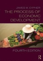 bokomslag The Process of Economic Development