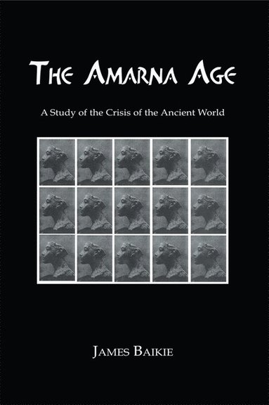 bokomslag Armana Age