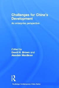 bokomslag Challenges for China's Development