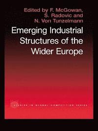 bokomslag The Emerging Industrial Structure of the Wider Europe