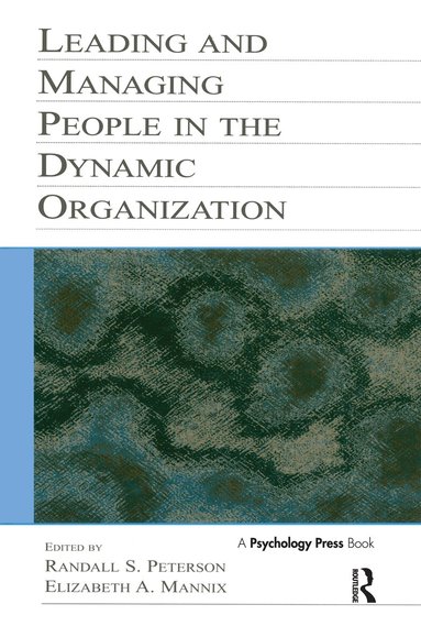 Randal D. Day, Randall S. Peterson, Elizabeth A. Mannix - Leading and Managing People in the Dynamic Organization, Häftad