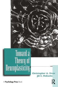 bokomslag Toward a Theory of Neuroplasticity