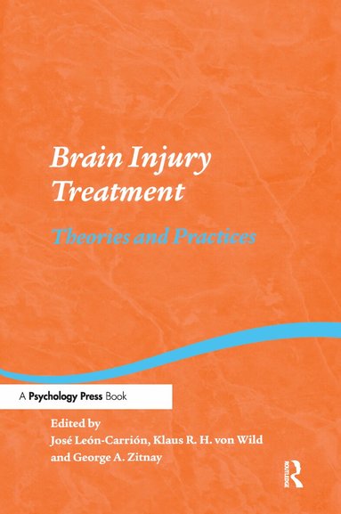 Jose Leon-Carrion, Klaus R. H. von Wild, George A. Zitnay - Brain Injury Treatment, Häftad