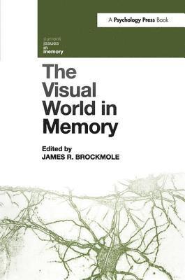 bokomslag The Visual World in Memory