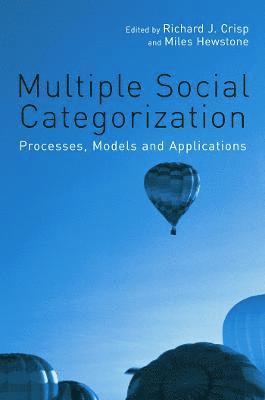 Multiple Social Categorization 1