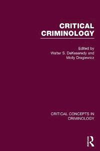 bokomslag Critical Criminology