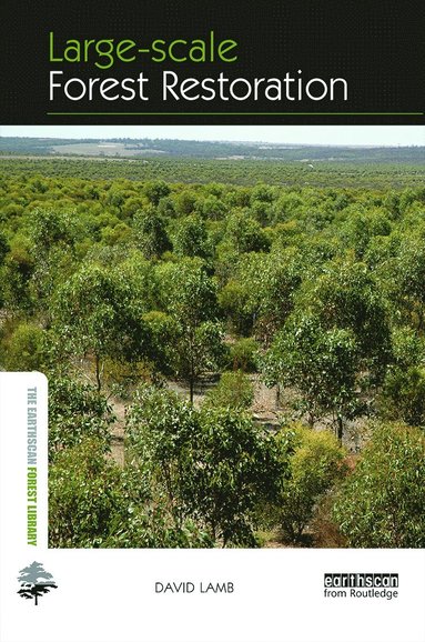 bokomslag Large-scale Forest Restoration