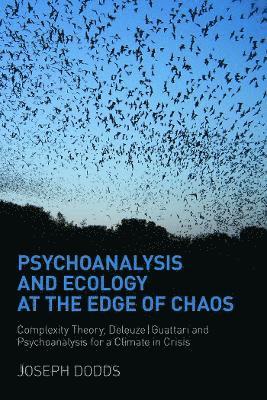 bokomslag Psychoanalysis and Ecology at the Edge of Chaos