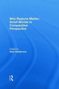 bokomslag Why Regions Matter: Small Worlds in Comparative Perspective