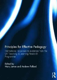 bokomslag Principles for Effective Pedagogy