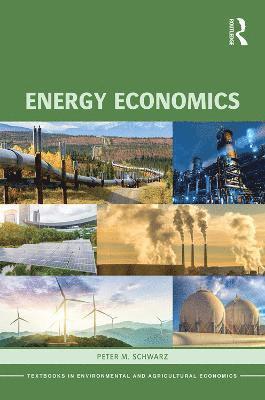 Peter M. Schwarz - Energy Economics, Häftad