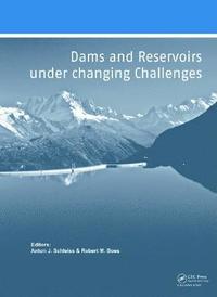 bokomslag Dams and Reservoirs under Changing Challenges