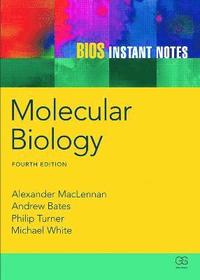 bokomslag BIOS Instant Notes in Molecular Biology