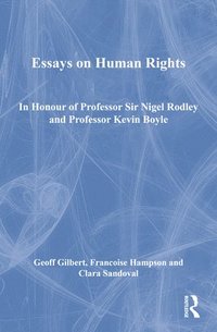 bokomslag Essays on Human Rights