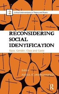 bokomslag Reconsidering Social Identification